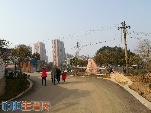 IMG_20171224_104006.jpg