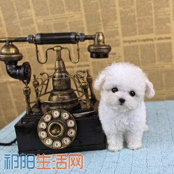 TB2Jkm5fNdkpuFjy0FbXXaNnpXa_!!2379482209 - 副本.jpg