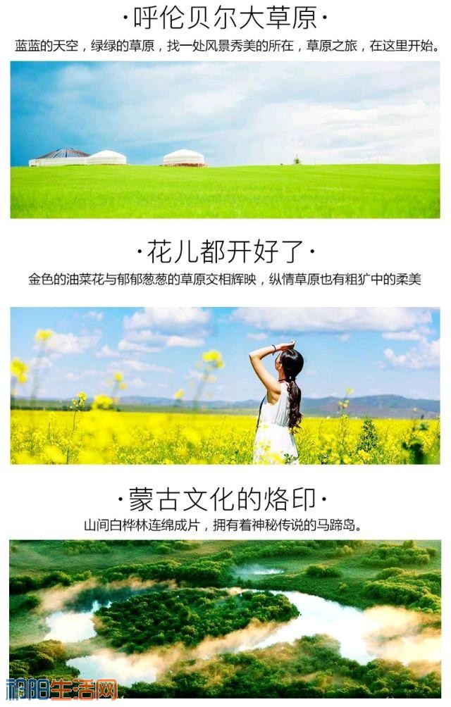 mmexport1525931306779.jpeg