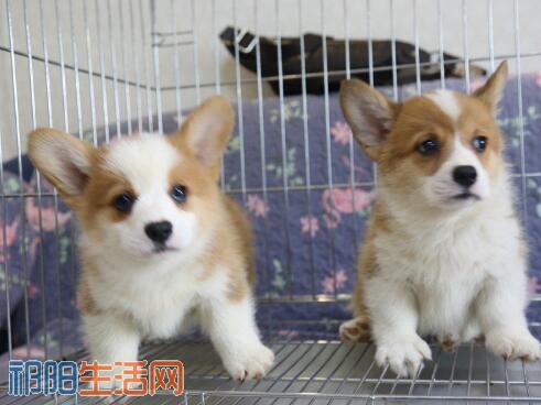 QQ截图20180508191010.jpg