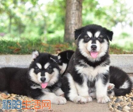 QQ截图20180508202733.jpg