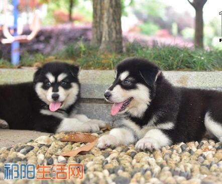 QQ截图20180508202747.jpg