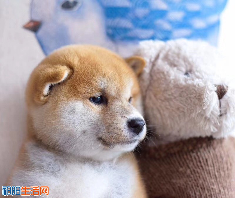 微信图片_20181021203216.jpg