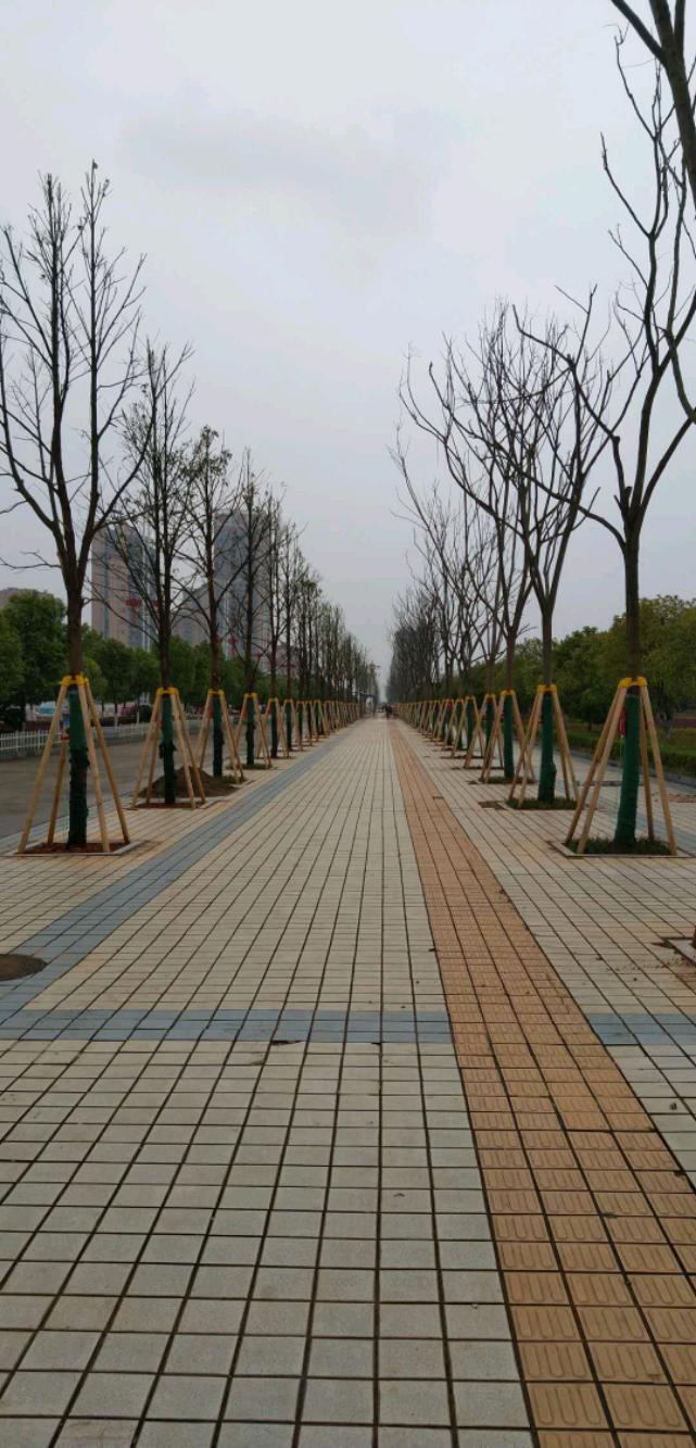 mmexport1553419816604.jpeg