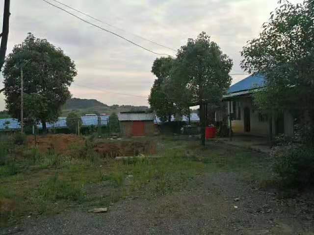 79FE33FF2EF39F84EF8A21A82417D42A.jpeg