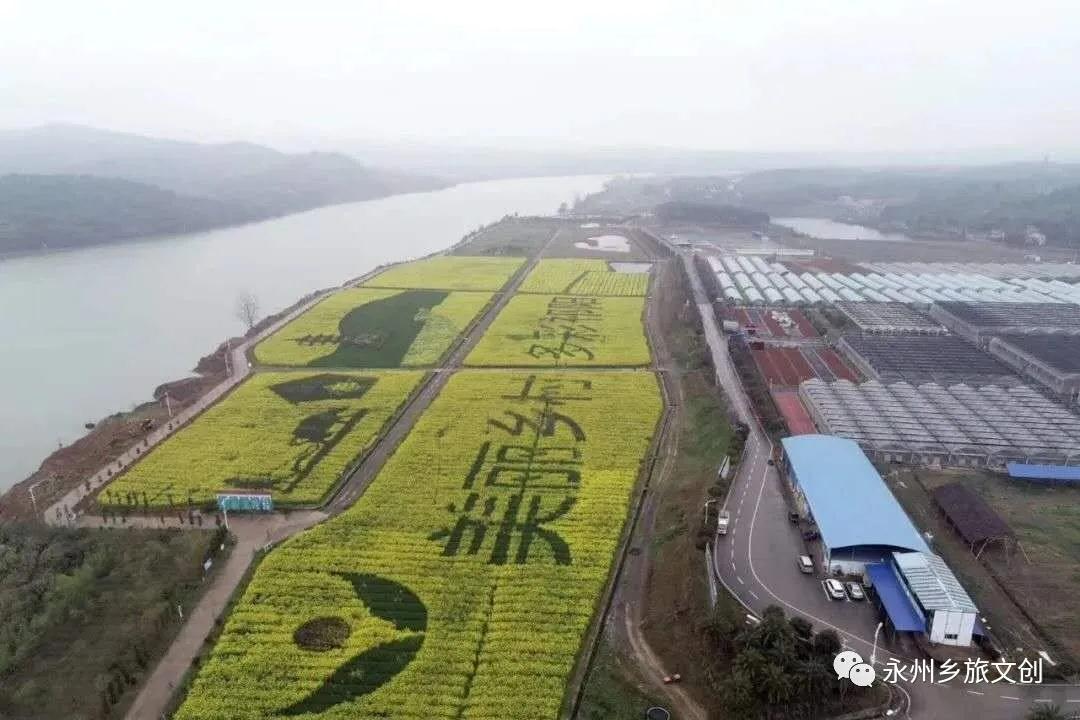 微信图片_20200313103527.jpg