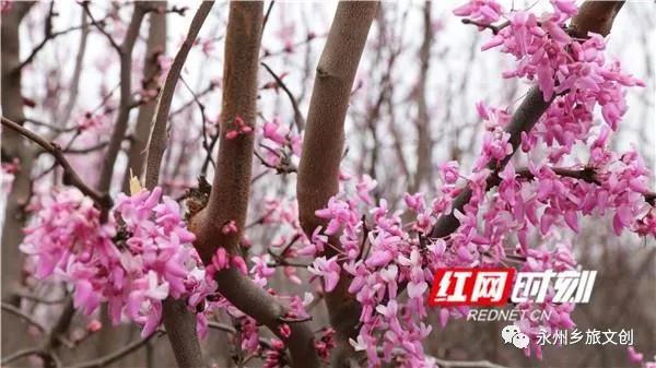 微信图片_20200313103616.jpg