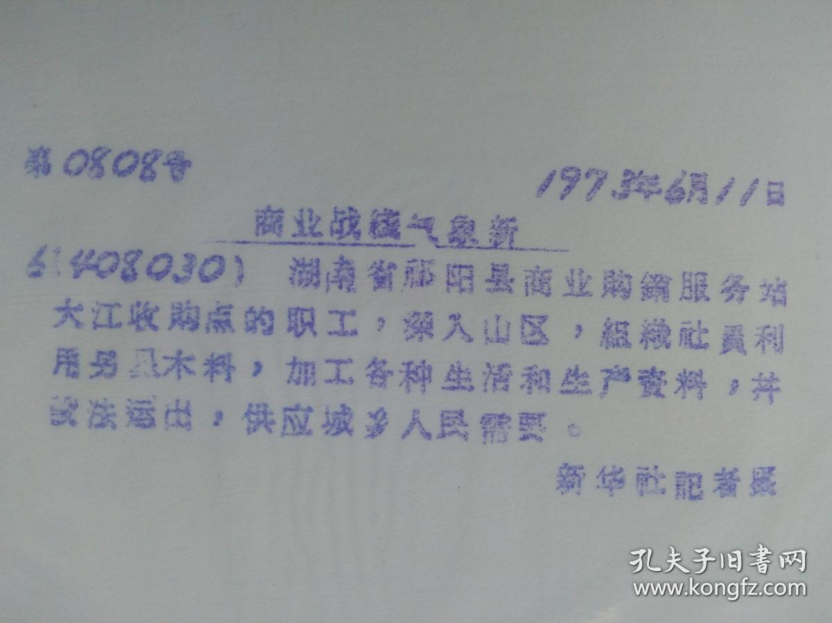 33cf78f28c867505_b.jpg