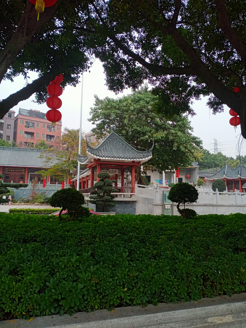 IMG20220115135541.jpg