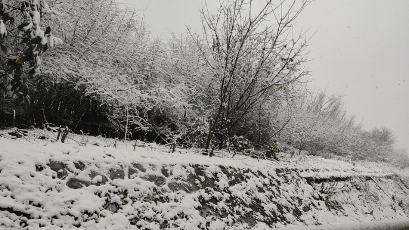 wx_camera_1705894376395.jpg