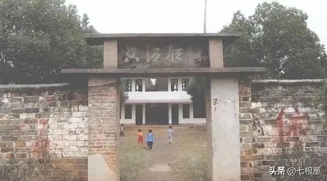 image (53).jpeg