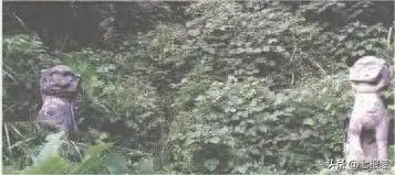 image (81).jpeg