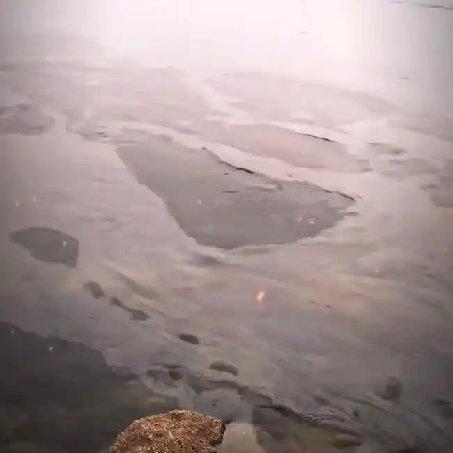 湖南祁阳一水面漂浮油状物 生态环境局：水华现象，不是油污