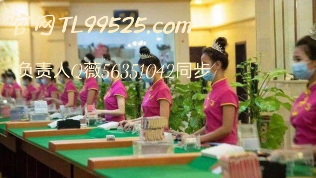 新百胜公司业务上下分联系电话微56351042信