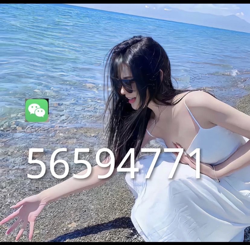 温56594771腾龙公司进行注册会员账号流程《第一财—经》
