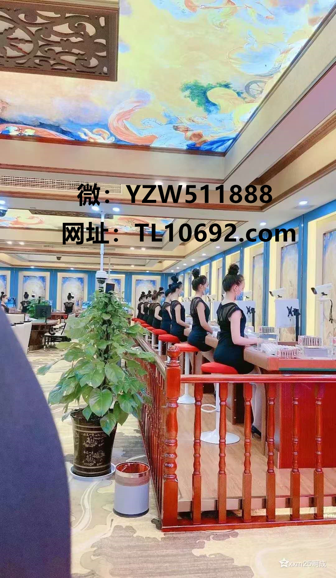 腾龙公司直属联系微YZW511888第一财经