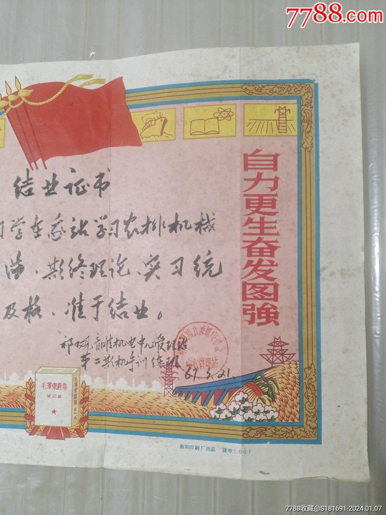 47488497c.jpg