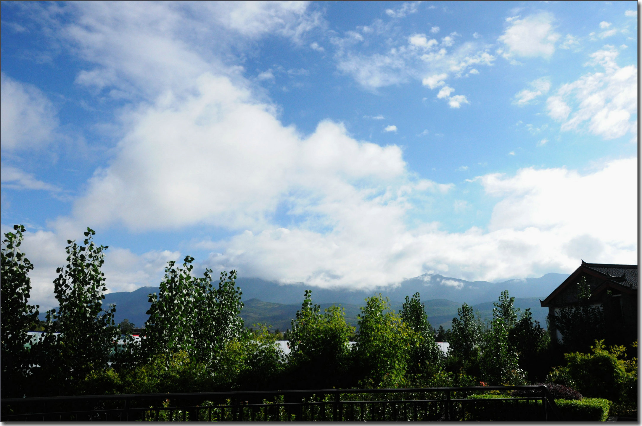 DSC_1513.JPG