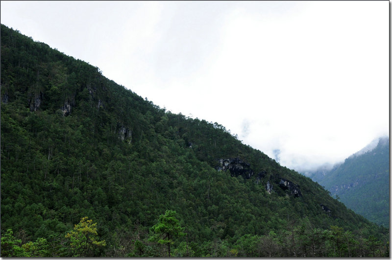 DSC_0416_1.jpg