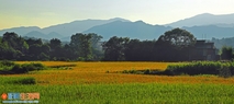 山村的早晨