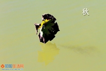 秋