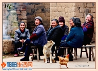 琵琶洲老姐妹