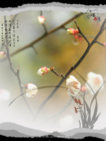走进下马渡