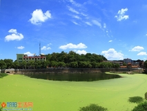 别样莲子塘(湘祁阳篇)