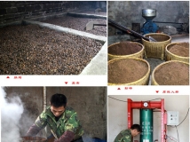 老表的表压榨茶油