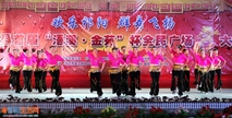 《祁阳首届"浯溪-金苑"杯全民广场舞大赛节目之一》